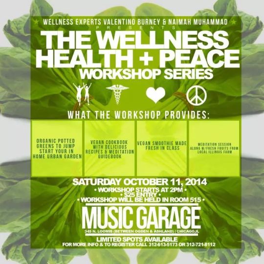 To Register for the Wellness, Health & Peace Workshop call 312.721.8112!