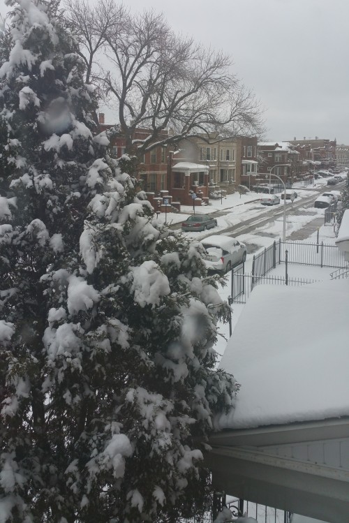 Heey Spring! Yep this is spring. I took this picture from my window yesterday March 23, 2015